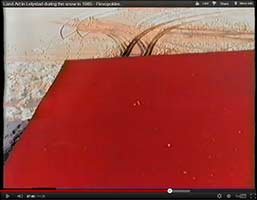 Walking on and around the "homage to El Lissitzky" land art project in the Flevopolder - in Lelystad, Netherlands.