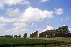 "time lapse" - poplar screens Dirksland, Holland